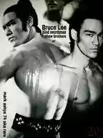 Free download Bruce Lee dragon of jade blind swords man Ancient classical warrior free photo or picture to be edited with GIMP online image editor