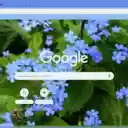 Brunnera  screen for extension Chrome web store in OffiDocs Chromium