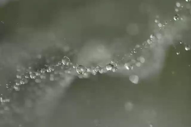 Free download bubble droplets spiderweb dew rain free picture to be edited with GIMP free online image editor