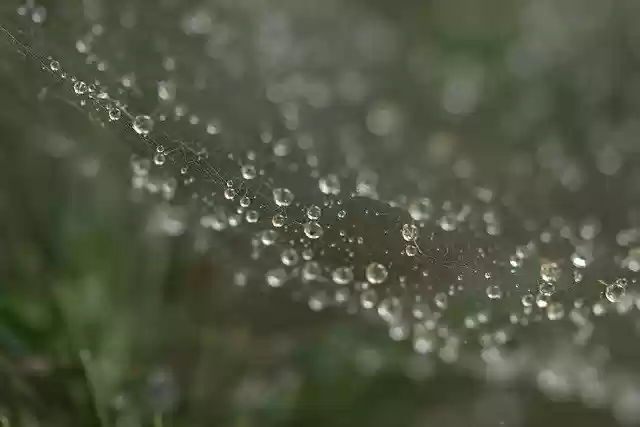 Free download bubble droplets spiderweb rain free picture to be edited with GIMP free online image editor