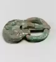 Free download Buckle free photo or picture to be edited with GIMP online image editor