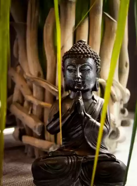 Free download Buddha Game Green -  free photo or picture to be edited with GIMP online image editor