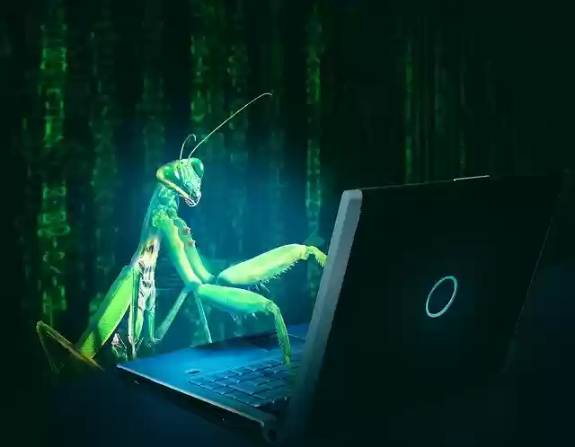 Unduh gratis Bug Virus Computer - foto atau gambar gratis untuk diedit dengan editor gambar online GIMP