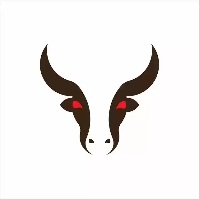 Безкоштовно завантажте бик корова череп роги голова бик безкоштовне зображення для редагування за допомогою безкоштовного онлайн-редактора зображень GIMP