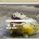 Bullfrog  screen for extension Chrome web store in OffiDocs Chromium