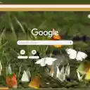 Buom  screen for extension Chrome web store in OffiDocs Chromium