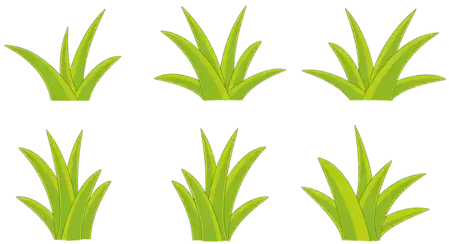 Free download Bush Bushes Nature -  free illustration to be edited with GIMP free online image editor