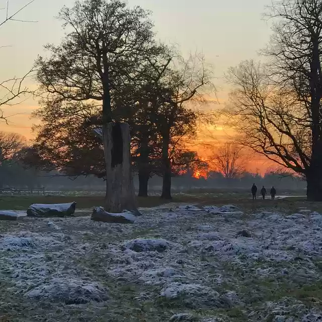 Free download bushes park sunset snow free picture to be edited with GIMP free online image editor