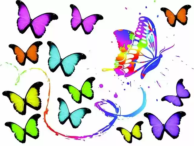 Free download Butterflies Art Color -  free illustration to be edited with GIMP free online image editor