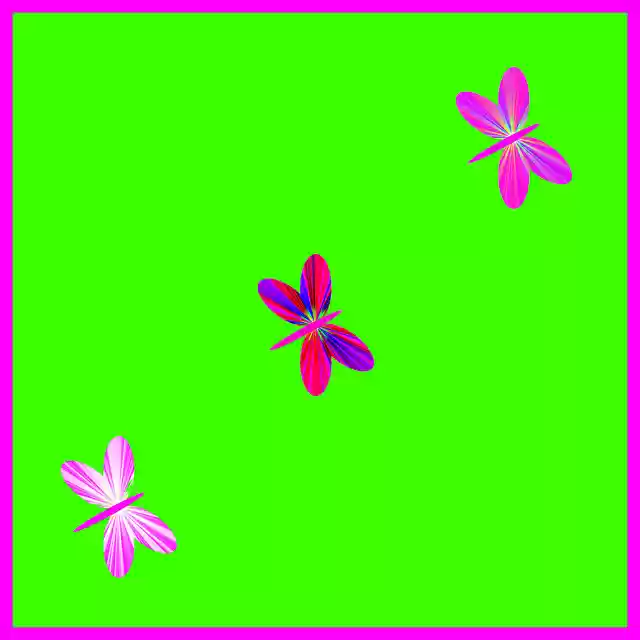 Free download Butterflies Colourful Nature -  free illustration to be edited with GIMP free online image editor