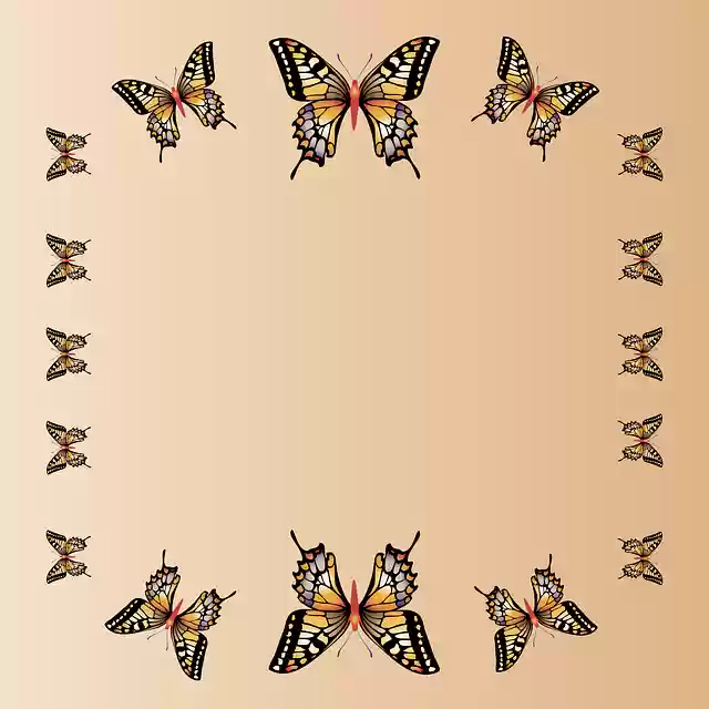 Free download Butterflies Insect -  free illustration to be edited with GIMP free online image editor
