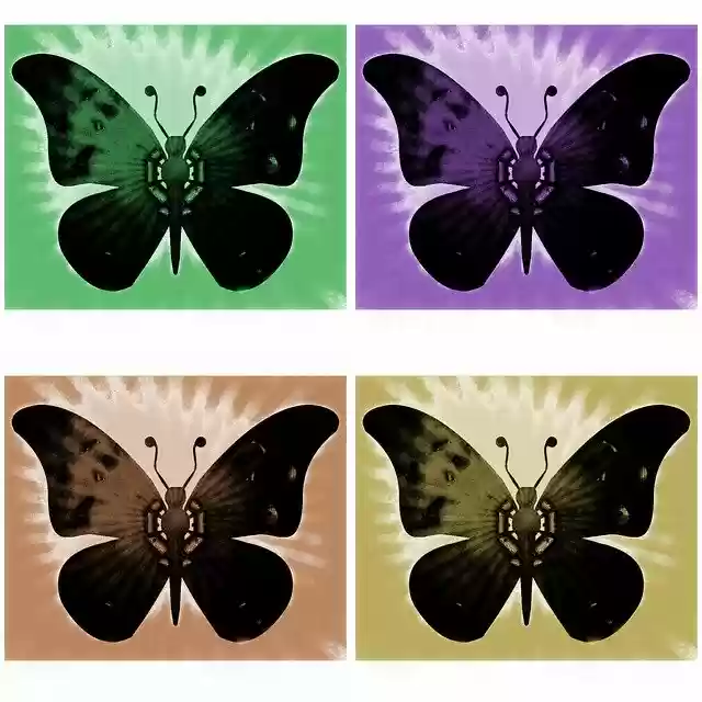 Free download Butterflies Insects Background -  free illustration to be edited with GIMP free online image editor