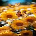 Butterfly and chrysanthemum wallpaper  screen for extension Chrome web store in OffiDocs Chromium