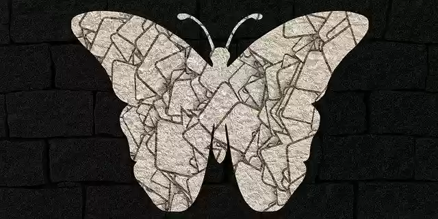Free download Butterfly Animal Insects Butter -  free illustration to be edited with GIMP free online image editor