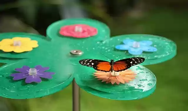 Free download Butterfly Bug Butterflies -  free photo or picture to be edited with GIMP online image editor