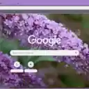 Butterfly Bush  screen for extension Chrome web store in OffiDocs Chromium