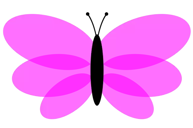 Free download Butterfly Color Flight -  free illustration to be edited with GIMP free online image editor