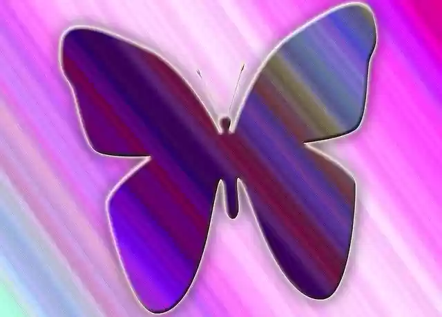 Kostenloser Download Butterfly Garden Nature - kostenloses Foto oder Bild zur Bearbeitung mit GIMP Online-Bildbearbeitung