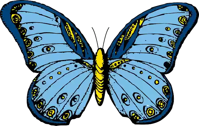 Free download Butterfly Insect Polymorphism - Free vector graphic on Pixabay free illustration to be edited with GIMP free online image editor