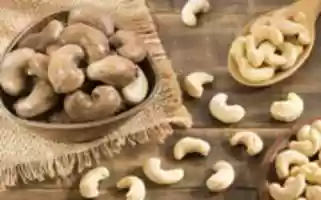 Free download Buying Lead Of Cashews On Volgo Point free photo or picture to be edited with GIMP online image editor