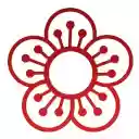 BuyItMao Agent for TaoBao  screen for extension Chrome web store in OffiDocs Chromium