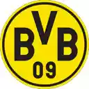 BVB Home  screen for extension Chrome web store in OffiDocs Chromium