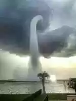 Free download bxxq7 free photo or picture to be edited with GIMP online image editor