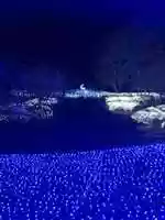 Free download C 00087 A 2 AC 1 D 4 B 8 E 8564 322549 C 99 E 77 free photo or picture to be edited with GIMP online image editor