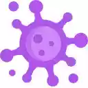 C19 Extension  screen for extension Chrome web store in OffiDocs Chromium