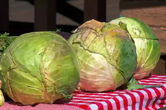 Free download Cabbage At The Market Jackson -  free photo or picture to be edited with GIMP online image editor