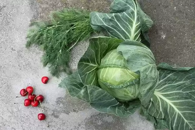 Free download cabbage cherries fruit a vegetable free picture to be edited with GIMP free online image editor