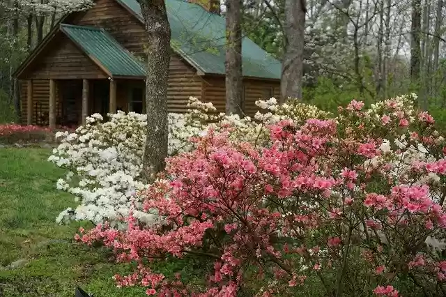 Muat turun percuma Cabin Smoky Mountains Spring - foto atau gambar percuma untuk diedit dengan editor imej dalam talian GIMP