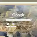 หน้าจอ Ca bong สำหรับส่วนขยาย Chrome web store ใน OffiDocs Chromium