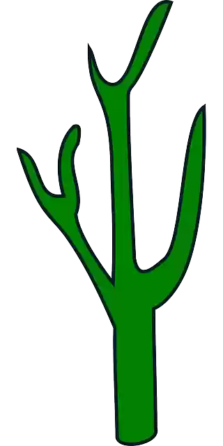 Free download Cactus Green Plant - Free vector graphic on Pixabay free illustration to be edited with GIMP free online image editor