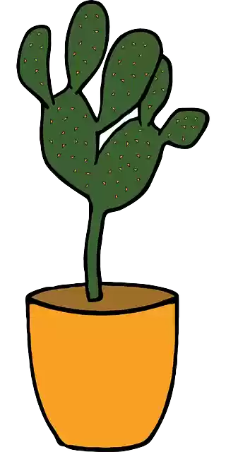 Free download Cactus Plant - Free vector graphic on Pixabay free illustration to be edited with GIMP free online image editor