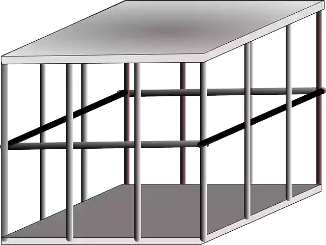 Free download Cage Metal Trapped - Free vector graphic on Pixabay free illustration to be edited with GIMP free online image editor
