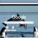 Ca heo mui bot  screen for extension Chrome web store in OffiDocs Chromium