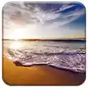 California  screen for extension Chrome web store in OffiDocs Chromium