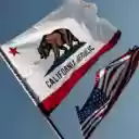 California Flag  screen for extension Chrome web store in OffiDocs Chromium