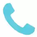 Call Client by TechPro  screen for extension Chrome web store in OffiDocs Chromium