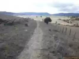 Free download calzada free photo or picture to be edited with GIMP online image editor