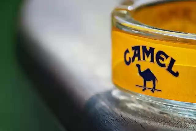 Kostenloser Download Camel Ashtray Smoking - kostenloses Foto oder Bild zur Bearbeitung mit GIMP Online-Bildbearbeitung