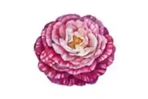 Free download Camellia flower illustration free photo or picture to be edited with GIMP online image editor