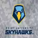 Camo Skyhawks 2019  screen for extension Chrome web store in OffiDocs Chromium