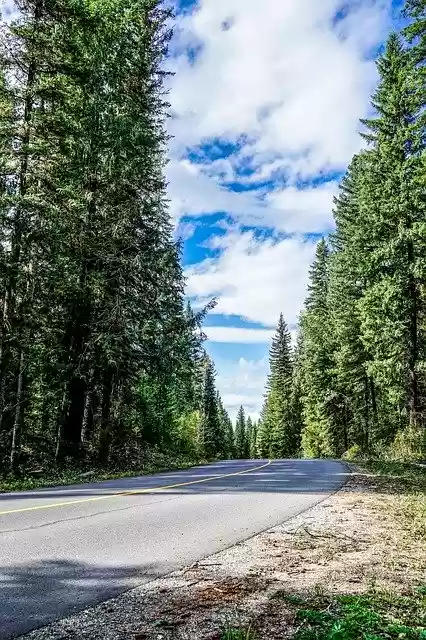 Free download Canada Road Forest -  free photo or picture to be edited with GIMP online image editor