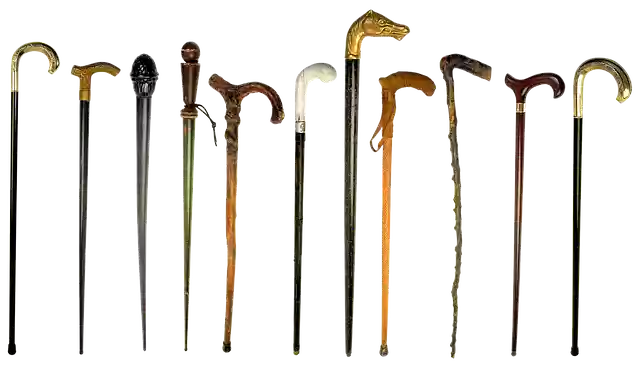 Free download Cane The Crutch Stick -  free illustration to be edited with GIMP free online image editor
