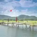 Canh Dieu Viet Theme  screen for extension Chrome web store in OffiDocs Chromium