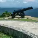 Cannon on the beach  screen for extension Chrome web store in OffiDocs Chromium