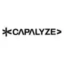 Capalyze AI powered Web Scraping and Analysis  screen for extension Chrome web store in OffiDocs Chromium