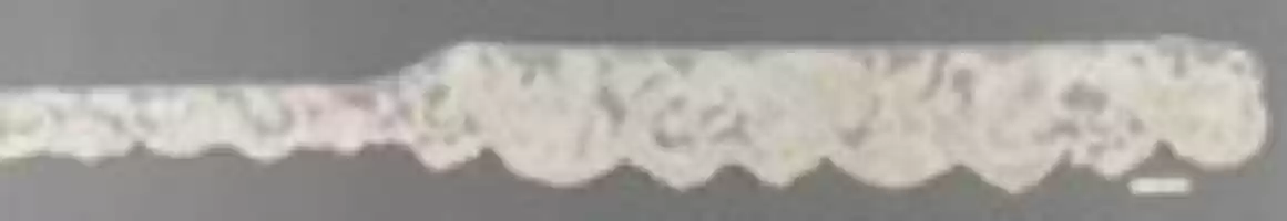 Free download Cap border free photo or picture to be edited with GIMP online image editor